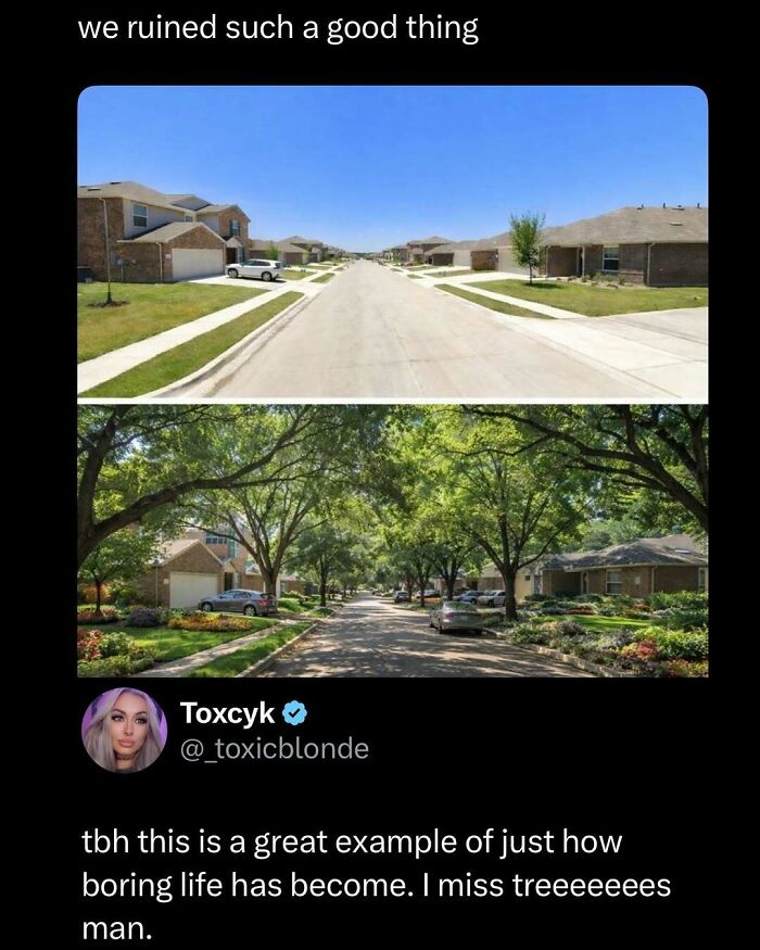 Wait, They Actually Ranked These Memes? Here Are 109 That Will Totally Distract You