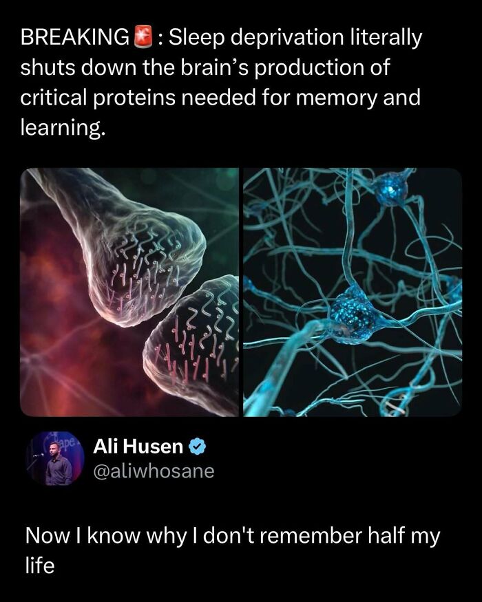 Wait, They Actually Ranked These Memes? Here Are 109 That Will Totally Distract You