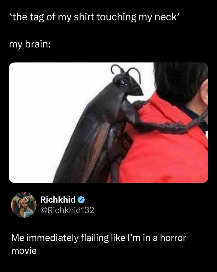 Wait, They Actually Ranked These Memes? Here Are 109 That Will Totally Distract You