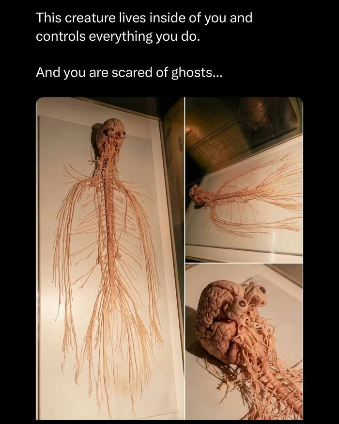 Wait, They Actually Ranked These Memes? Here Are 109 That Will Totally Distract You