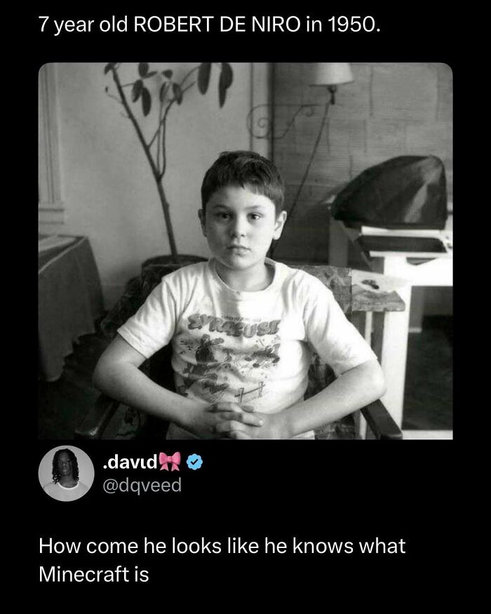 Wait, They Actually Ranked These Memes? Here Are 109 That Will Totally Distract You