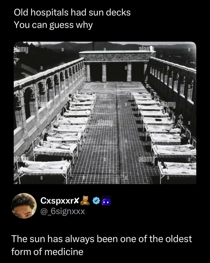 Wait, They Actually Ranked These Memes? Here Are 109 That Will Totally Distract You