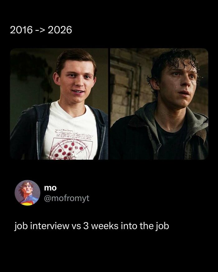 Wait, They Actually Ranked These Memes? Here Are 109 That Will Totally Distract You