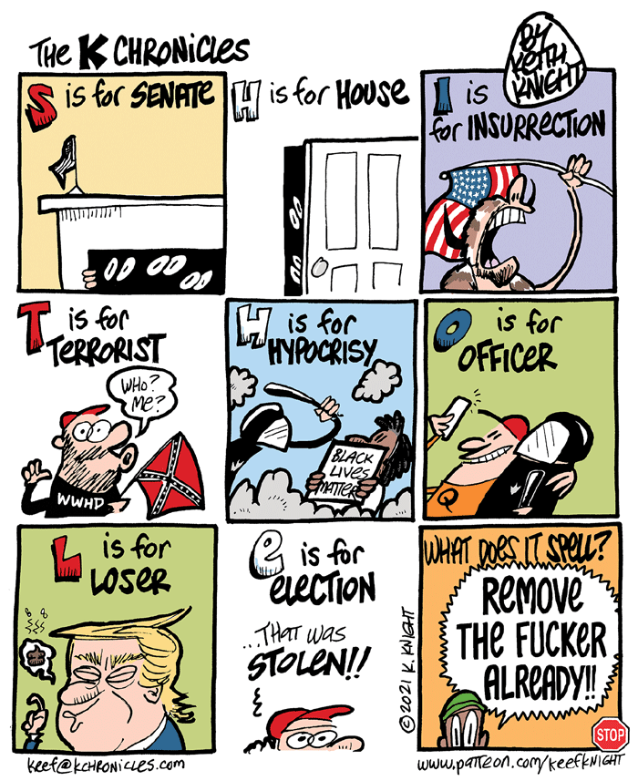 These Comics Turn Life’s Weirdness Into Giggle-Worthy Truths