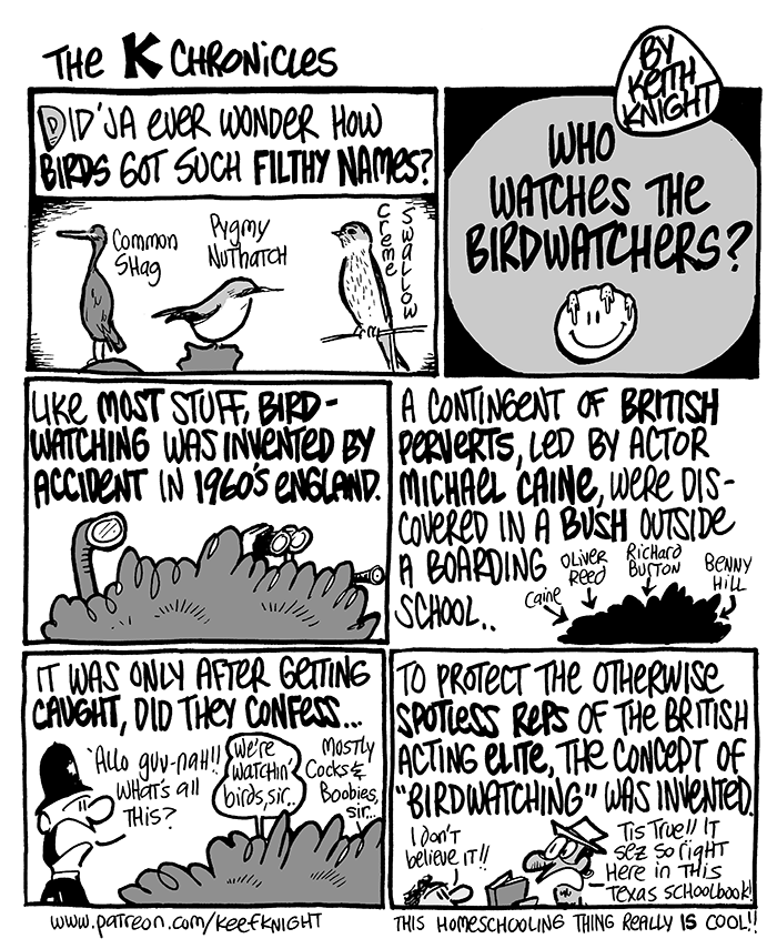 These Comics Turn Life’s Weirdness Into Giggle-Worthy Truths