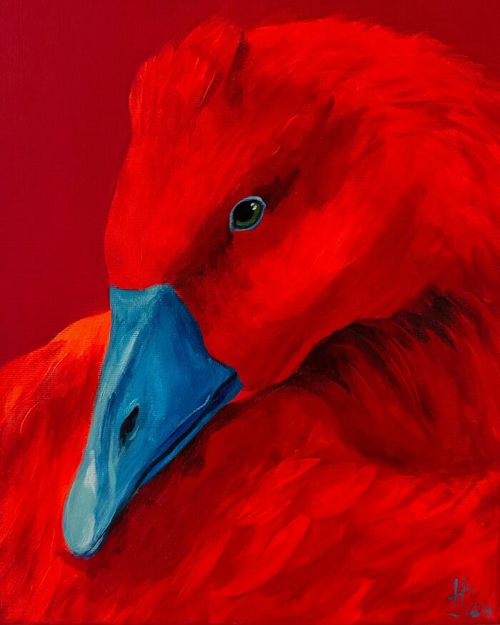 Yep, These Geese Got Stripped, Spotted, And Seriously Jazzed Up!