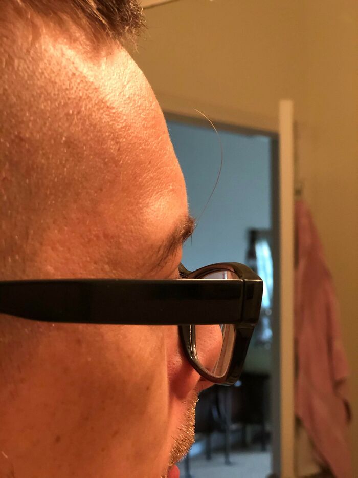 Wait Till You See These Eyebrows That Are Totally Wild and Wacky