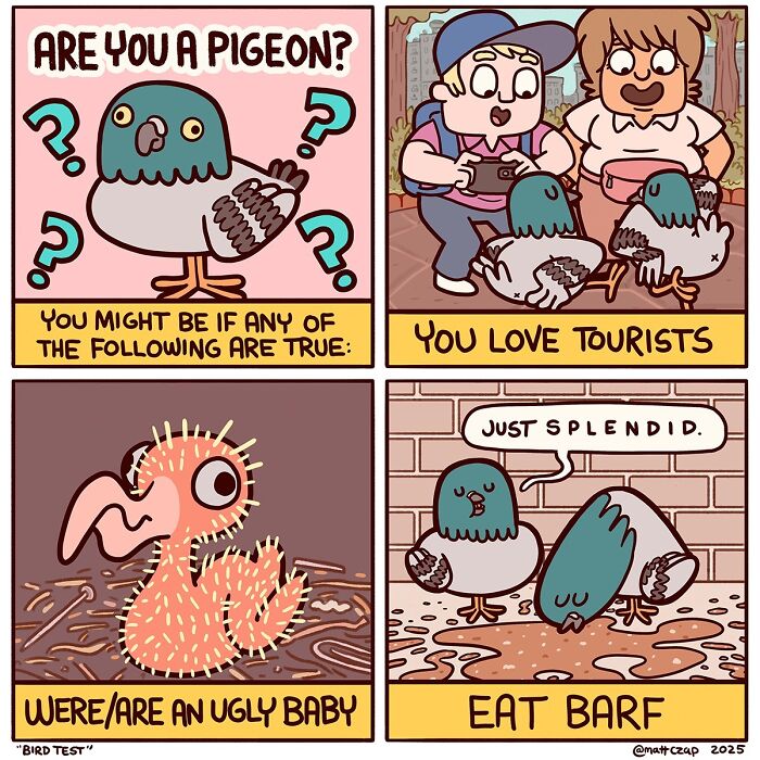 50 Comics That Nail How Weird and Wacky Life Can Get, by Matt Czap