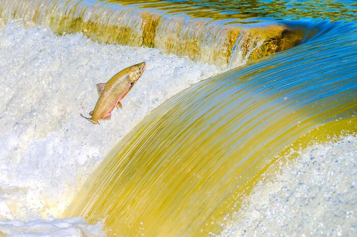 Wait, They Actually Ranked That?! 65 Facts That Totally Rocked Our World