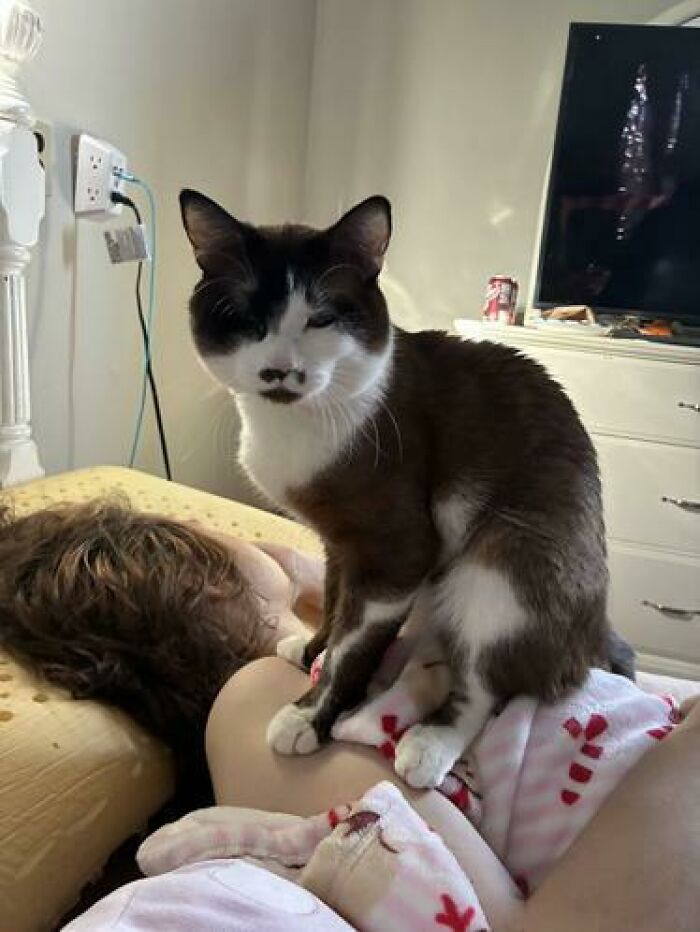 The 79 Most Ridiculous Sleeping Positions People Caught Their Partners In