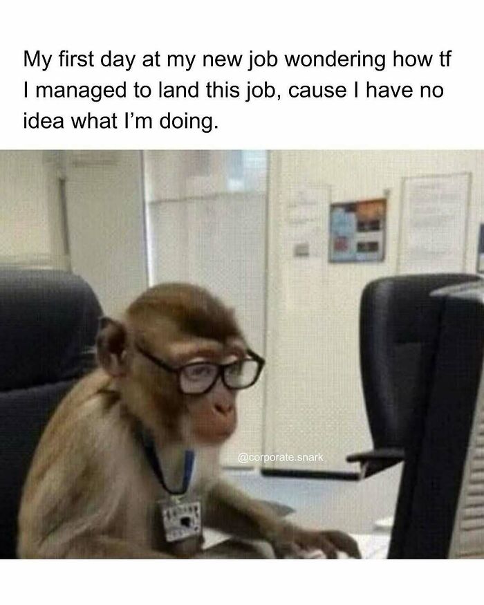 Let's Dive Into These Hilariously Relatable Work Memes!