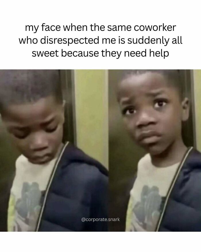 Let's Dive Into These Hilariously Relatable Work Memes!