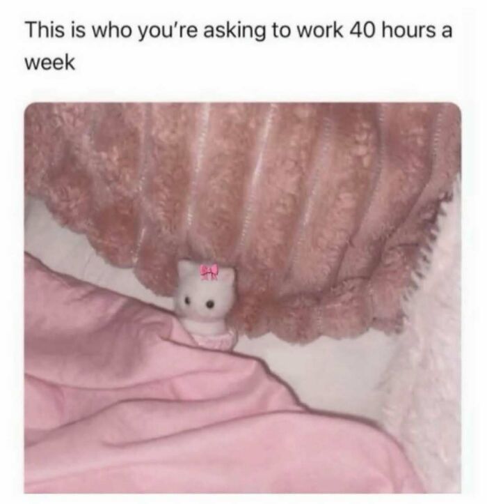 Let's Dive Into These Hilariously Relatable Work Memes!