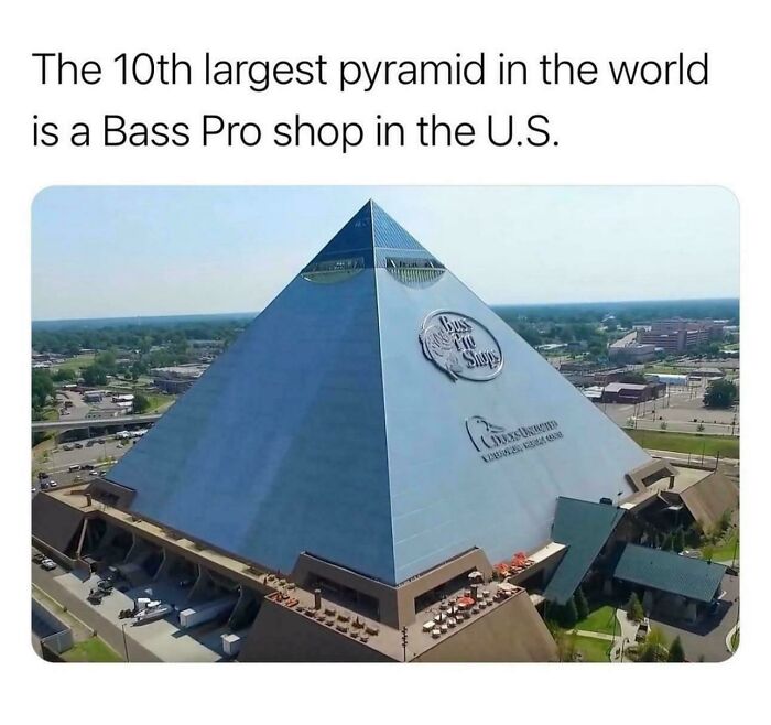 Wait, People Are Seriously This Clueless? Idiocracy-in-Real-Life Edition!