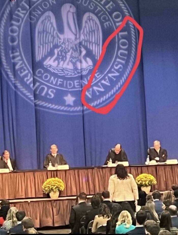 Wait, People Are Seriously This Clueless? Idiocracy-in-Real-Life Edition!