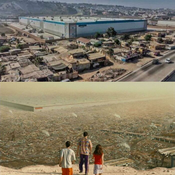 Wait, People Are Seriously This Clueless? Idiocracy-in-Real-Life Edition!