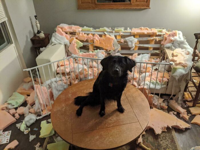 You Won’t Believe What Went Down While You Were Away