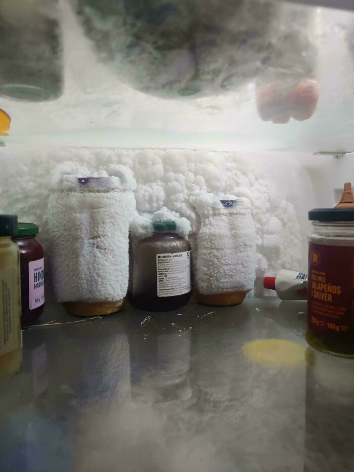 Forgotten Fridge Treasures Now Lost to the Abyss