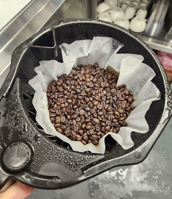 Meet the New Guy at Work (and His Funny Entrance)