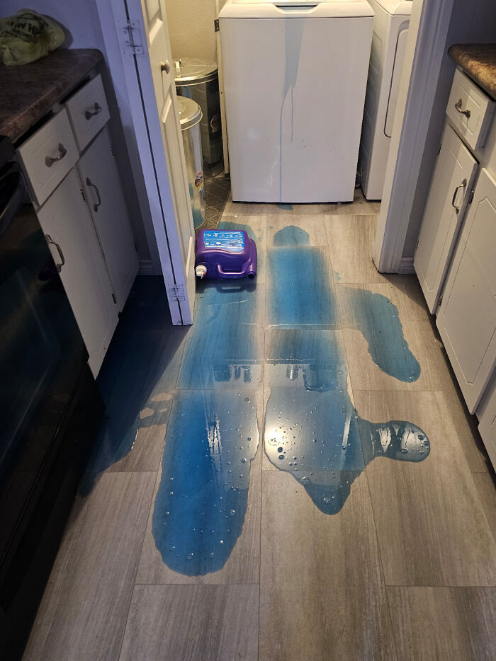 When You’re About to Hit the Sack and Your Bed Has Other Plans