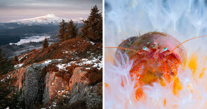 31 Mind-Blowing Nature Photos That Totally Stole The Show In Scotland 2025