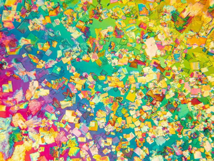 Whoa, These Crazy Close-Up Microscope Pics Will Blow Your Mind