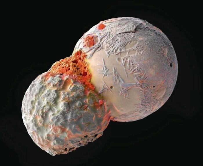 Whoa, These Crazy Close-Up Microscope Pics Will Blow Your Mind