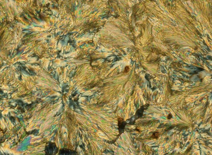 Whoa, These Crazy Close-Up Microscope Pics Will Blow Your Mind