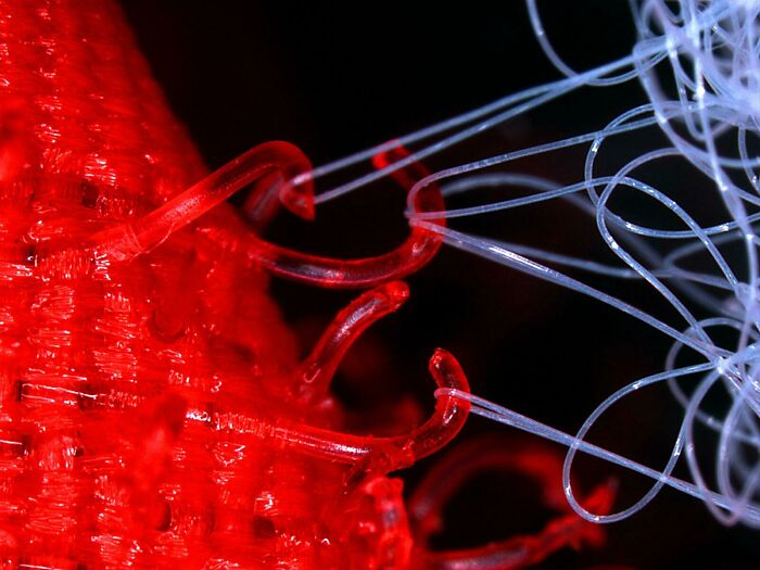 Whoa, These Crazy Close-Up Microscope Pics Will Blow Your Mind