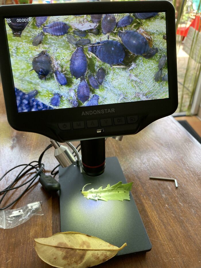 Whoa, These Crazy Close-Up Microscope Pics Will Blow Your Mind