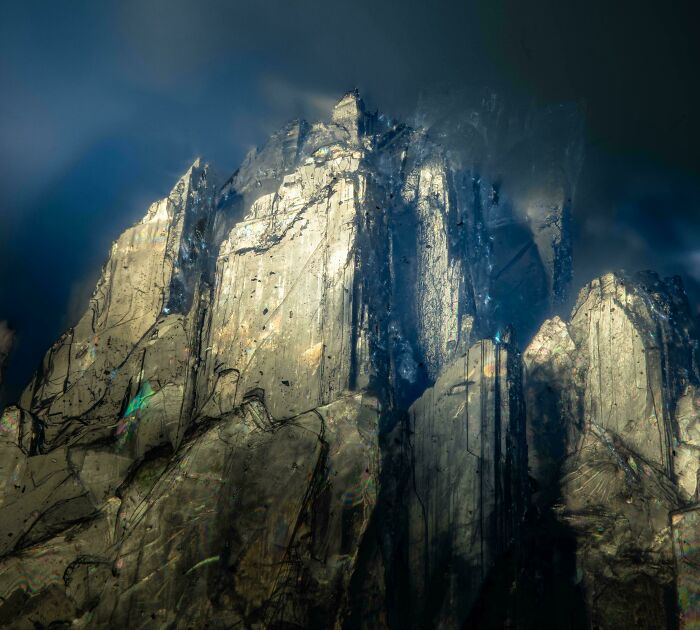 Whoa, These Crazy Close-Up Microscope Pics Will Blow Your Mind