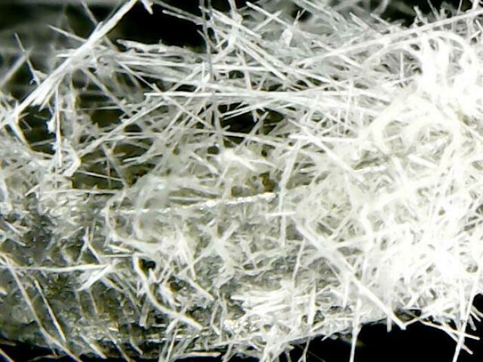 Whoa, These Crazy Close-Up Microscope Pics Will Blow Your Mind