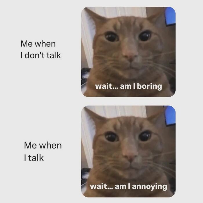 Cat Memes So Good, You'll Forget How to Adult!