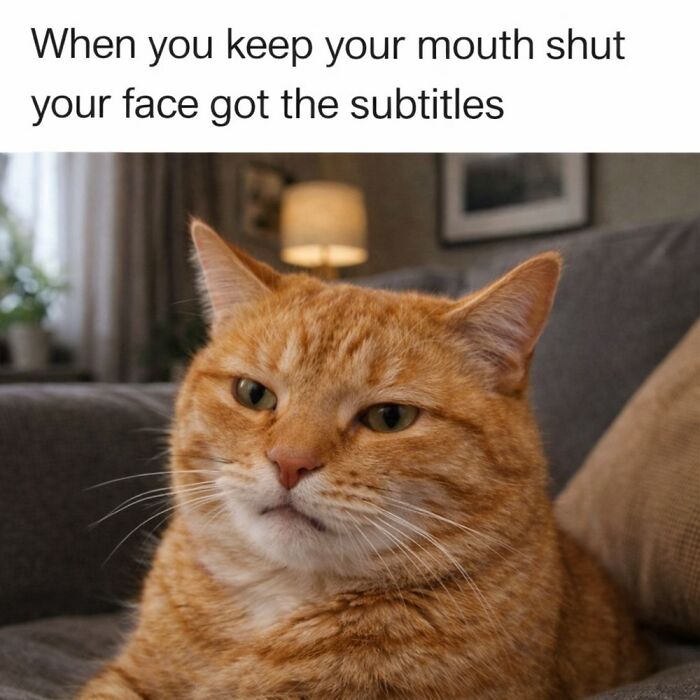 Cat Memes So Good, You'll Forget How to Adult!