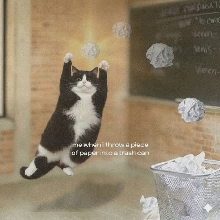 Cat Memes So Good, You'll Forget How to Adult!