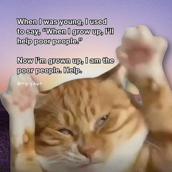 Cat Memes So Good, You'll Forget How to Adult!