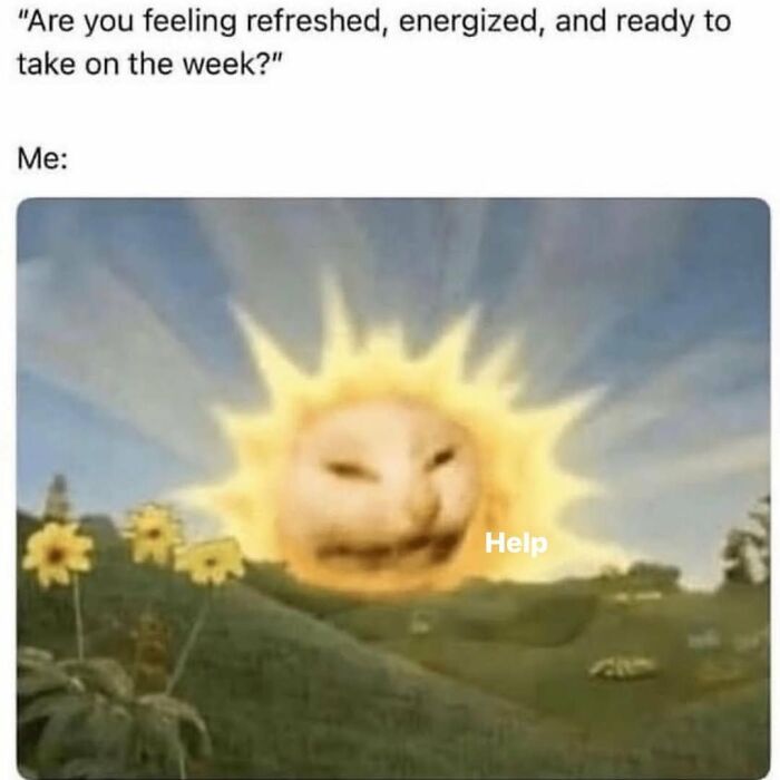 Cat Memes So Good, You'll Forget How to Adult!