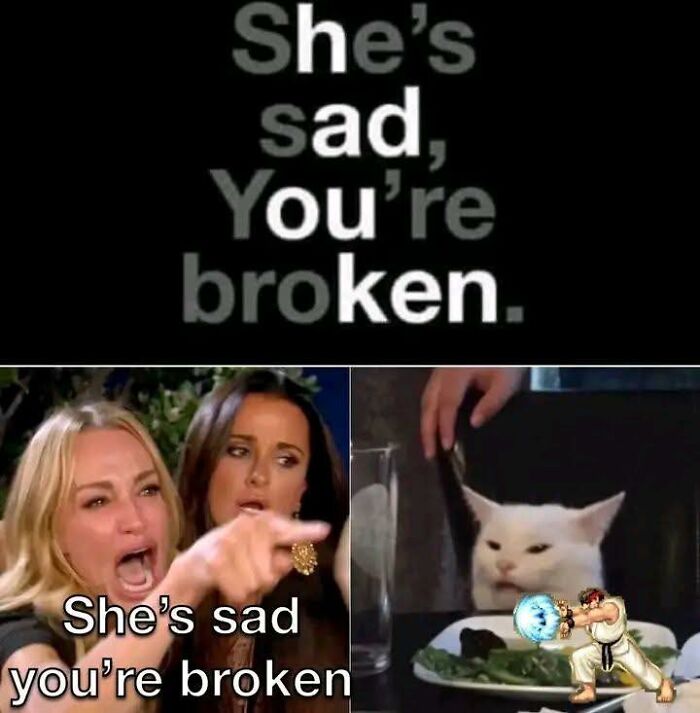 Cat Memes So Good, You'll Forget How to Adult!