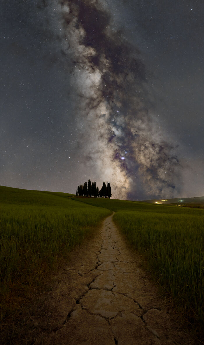 Milky Way and Cypress Showdown