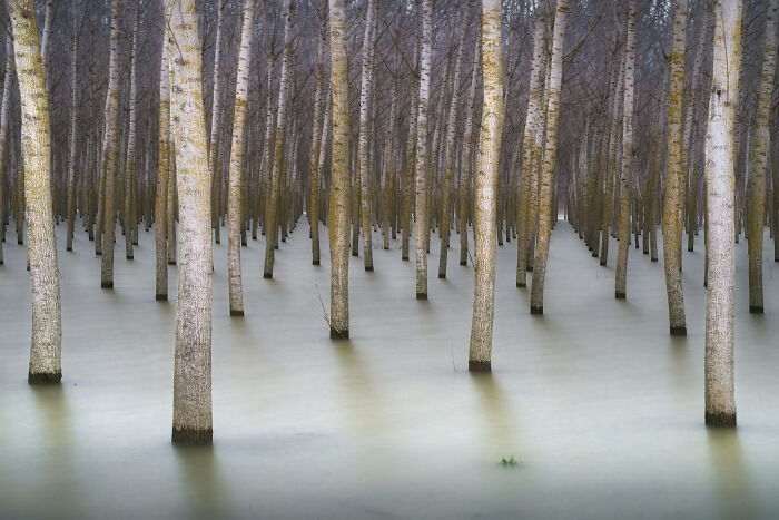 When Flooding Gets Bare