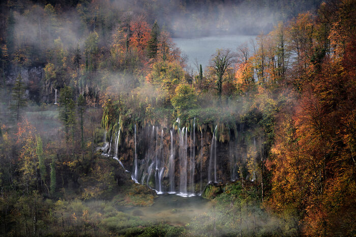 Leaf-Peeping Adventure