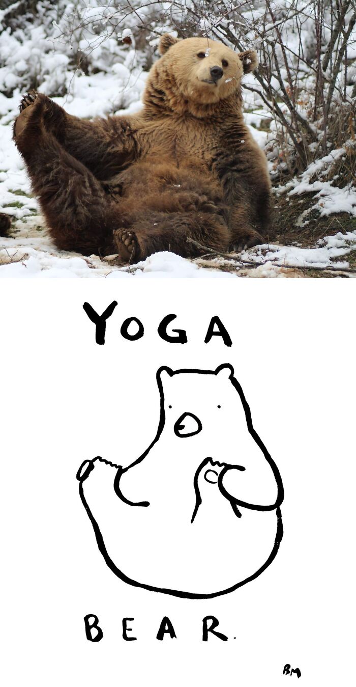 Hope the Yoga Bear