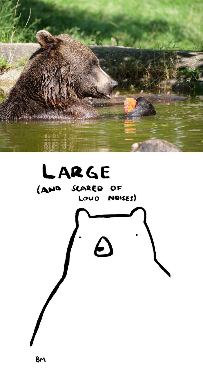 Erich the Gentle Giant