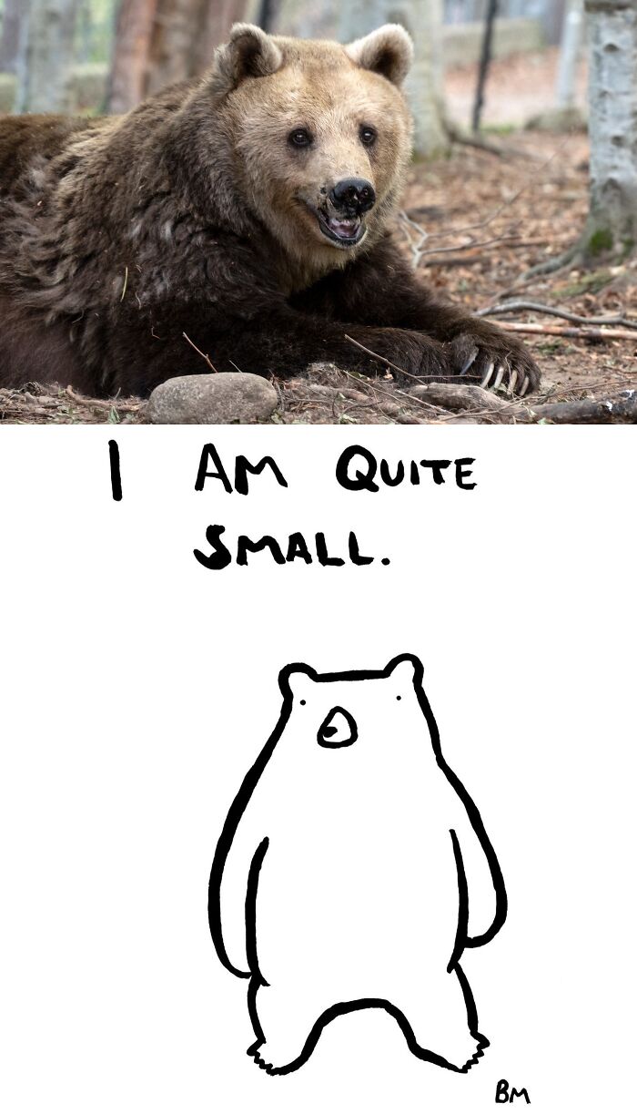 Marinka the Brainy Bear