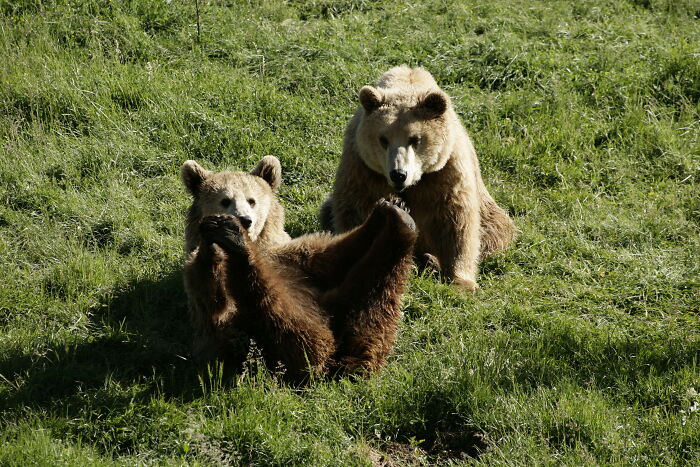 Hope & Tomi: The Dynamic Duo