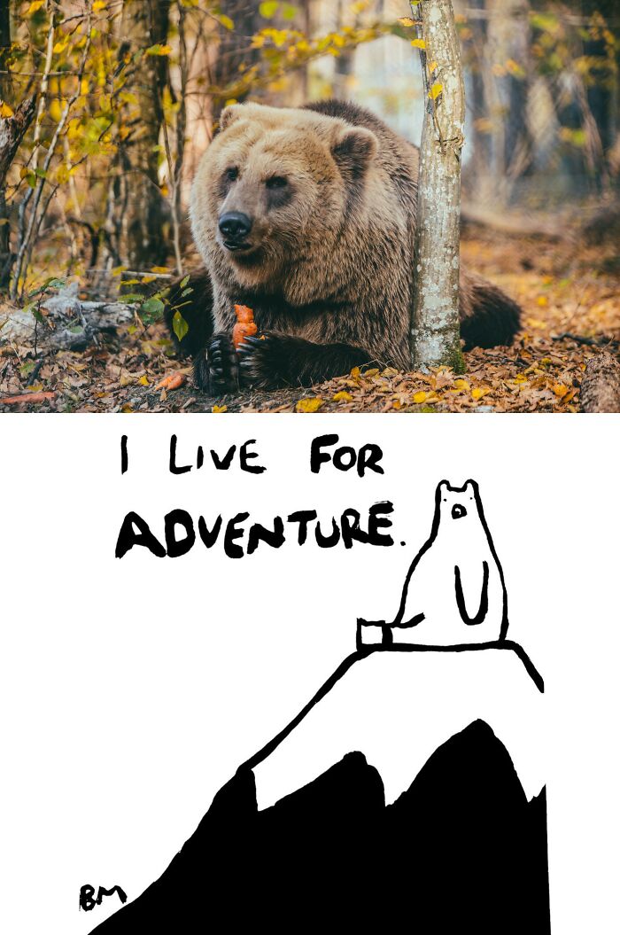 Melanka the Sophisticated Explorer