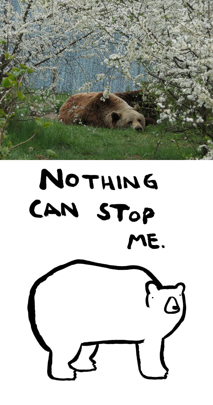 Michal the One-Legged Wonder