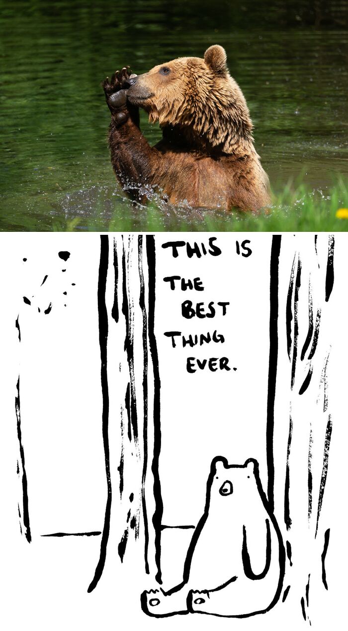 Rocco the Curious Cub