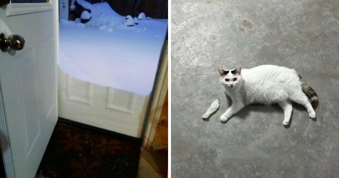 Wait, These Photos Are Real?! 73 Mind-Boggling Pics That Will Trick Your Brain