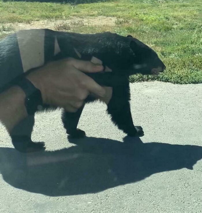 Holding The Tiniest Bear Ever